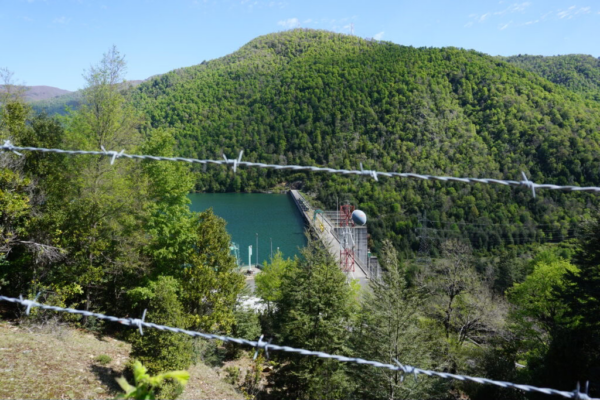 Hydropower and nuclear energy: more similar than one might think? Copy